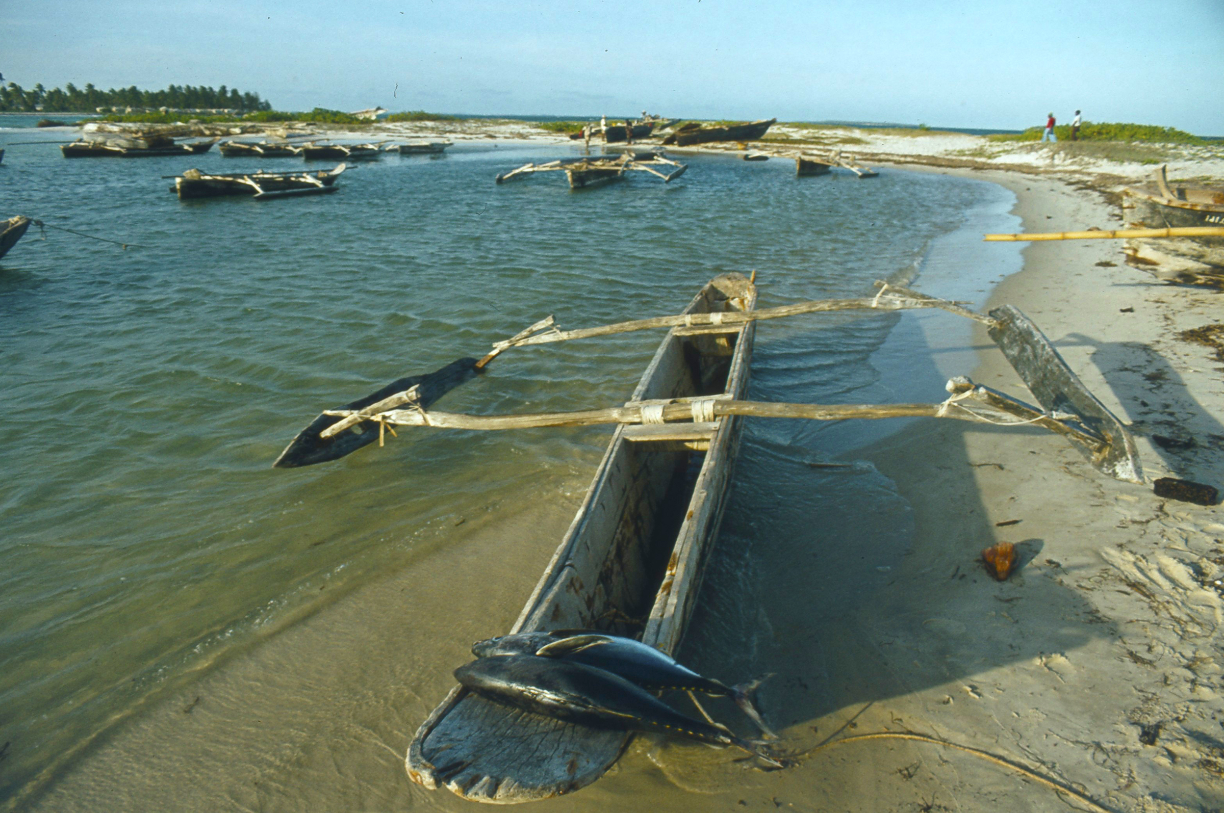 Kysten nedenfor hotellet